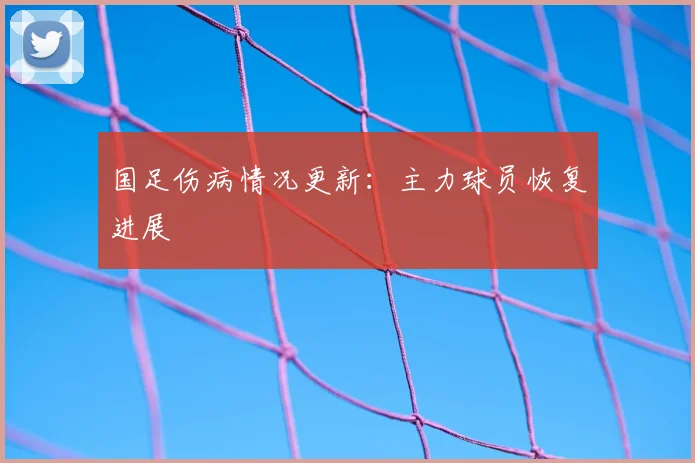 国足伤病情况更新:主力球员恢复进展