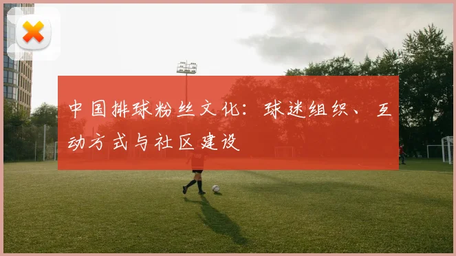 中国排球粉丝文化：球迷组织、互动方式与社区建设